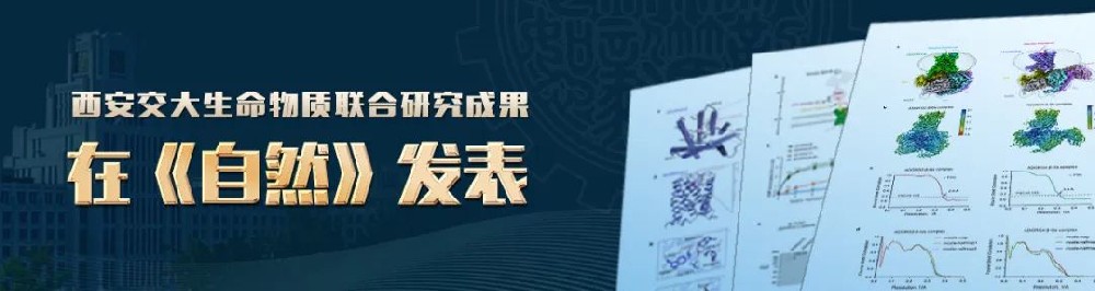 硬核！交大，一天发两篇《自然》！
