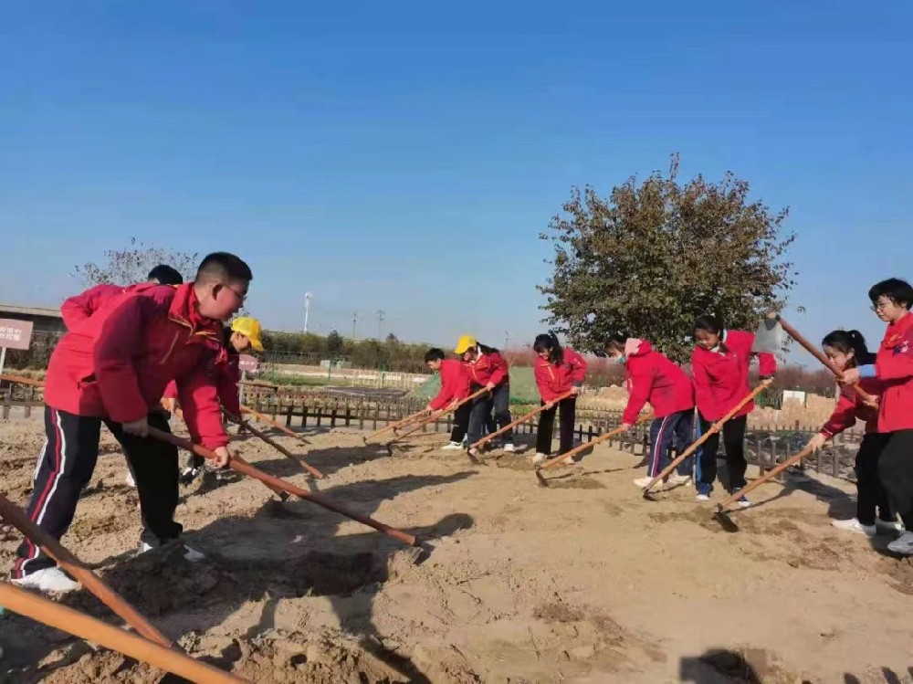 西咸新区中小学劳动教育“款款而来”