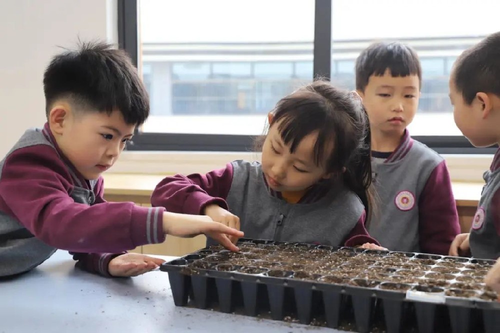 揭秘西安高新钱学森第二小学强硬内核！