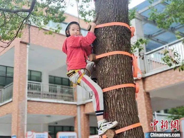 “同学们，这节课学爬树”