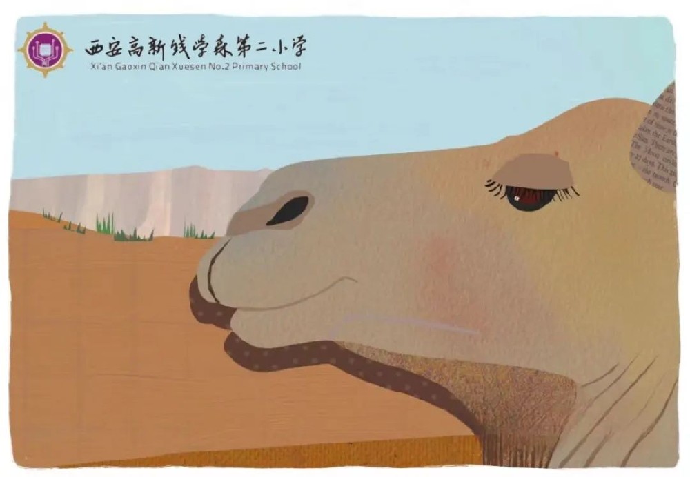 e65dd22ab677734a288b95a253a22f63_640_wx_fmt=jpeg&wxfrom=5&wx_lazy=1&wx_co=1.jpg