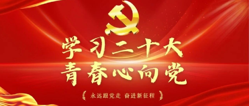 西安华清园实验小学党员教师学习党的二十大精神心得体会（一）