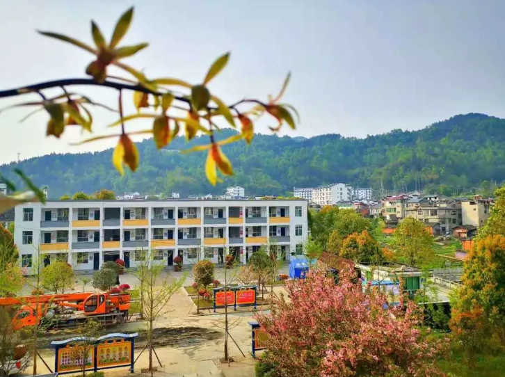 平利县老县镇中心小学德育之花香满园