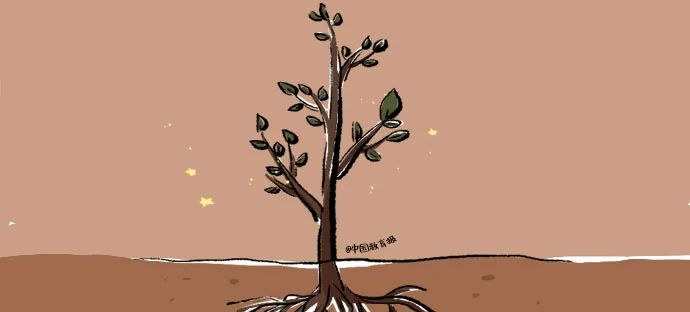 这个假期，让老师幸福的100件小事