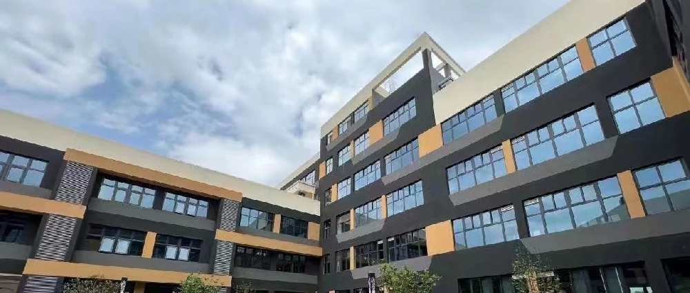新城区锚定加快建设教育强区目标 办好人民满意的教育