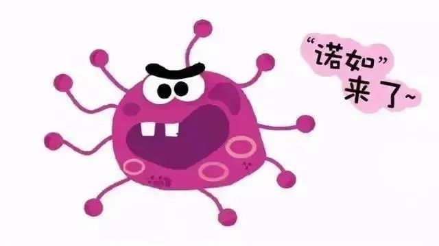 一学校4名学生感染！诺如病毒进入高发季，如何防控？