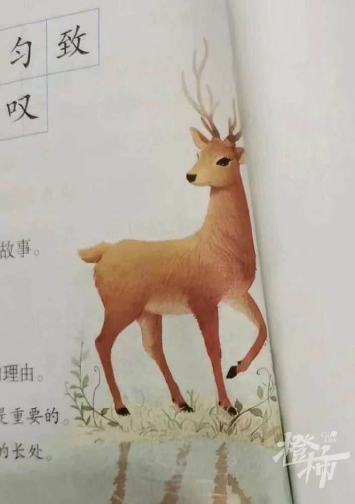 四年级小学生给语文课本“挑错”，新教材改了！