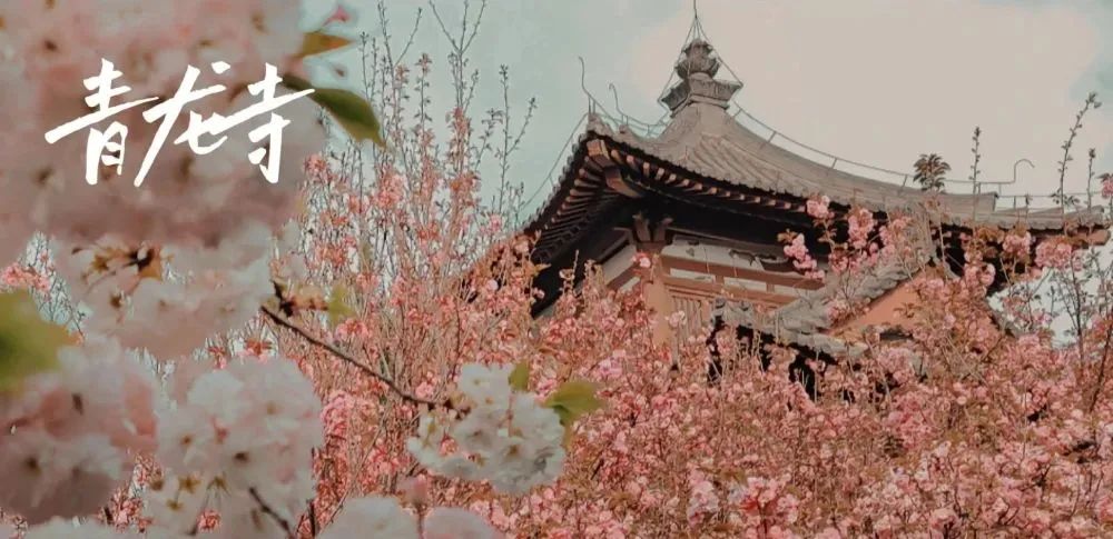 笔写春意，诗画生活 | 西安高新钱学森第二小学教师外出写生活动